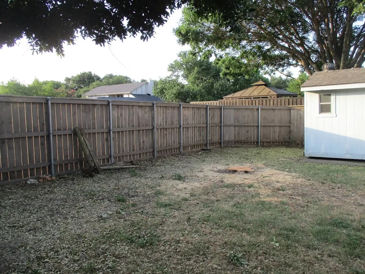 Cleared yard after professional tree removal in Carey